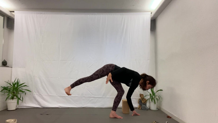 Intermediate Funky Pose Class